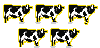 5 K&uuml;he